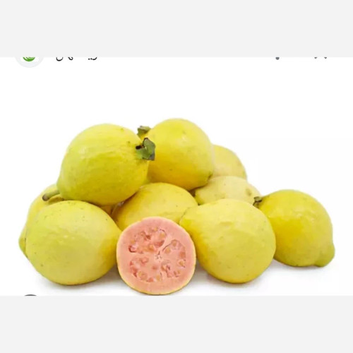 نهال گواوا زرد