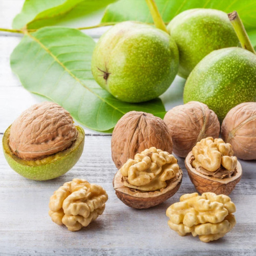 نهال گردو چندلر